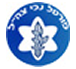 פורטל נכי צה"ל